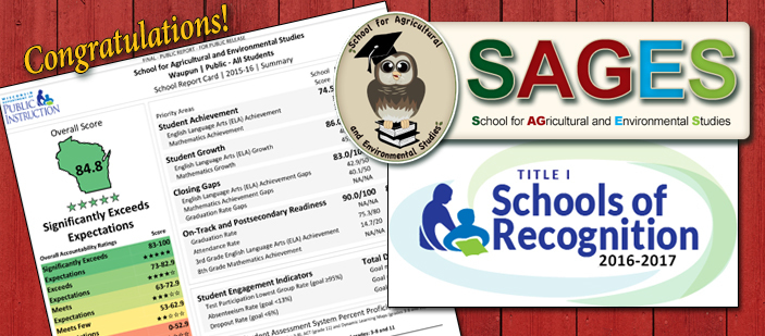 SAGES exceeds Expectations!